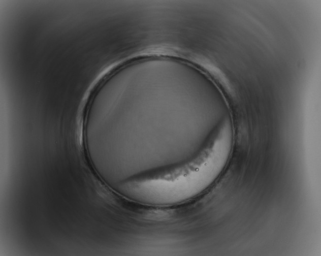 X0000092111224200710031225