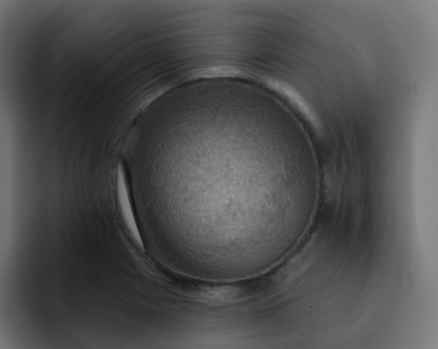 X0000092111225200710031225