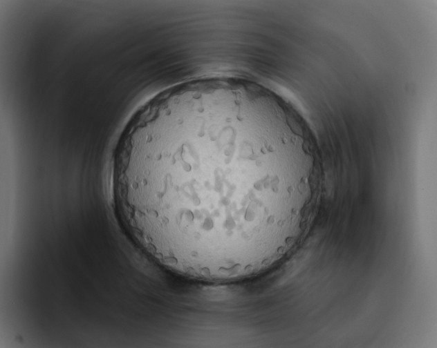 X0000092111227200710031225