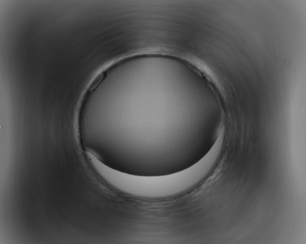 X0000092111230200710031225