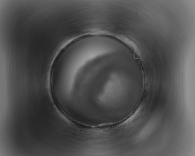 X0000092111231200710031225