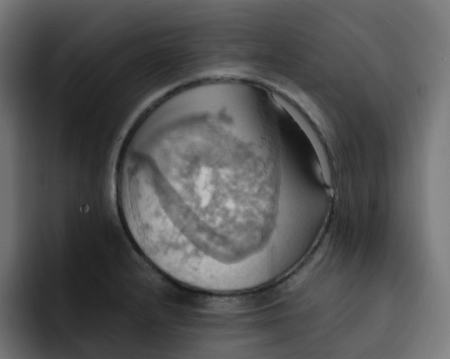 X0000092111232200710031225