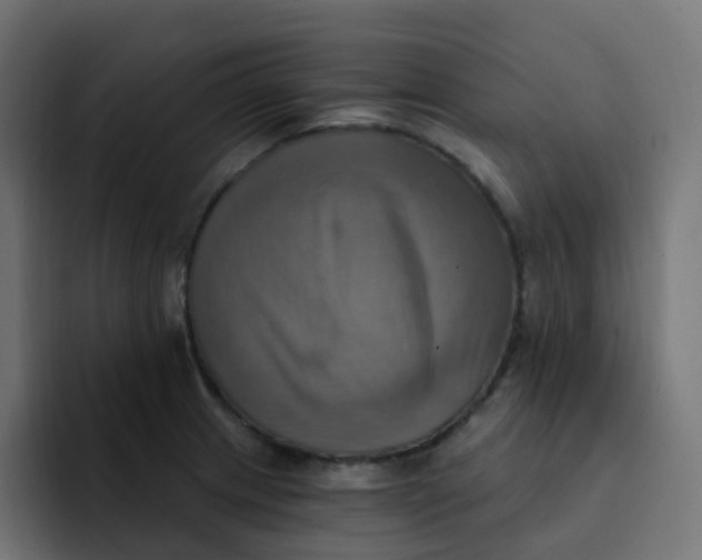 X0000092111233200710031225