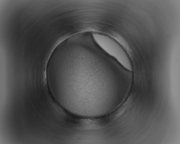 X0000092111234200710031225