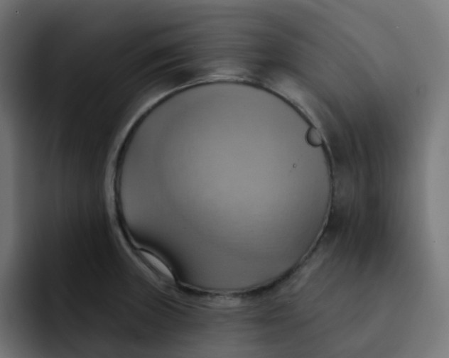 X0000092111235200710031225