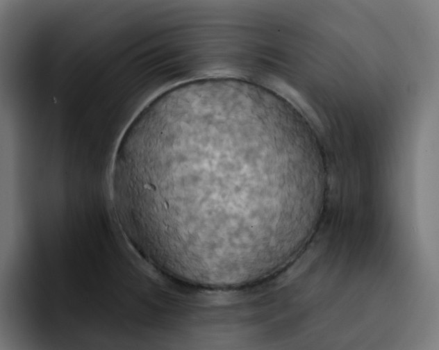 X0000092111236200710031225