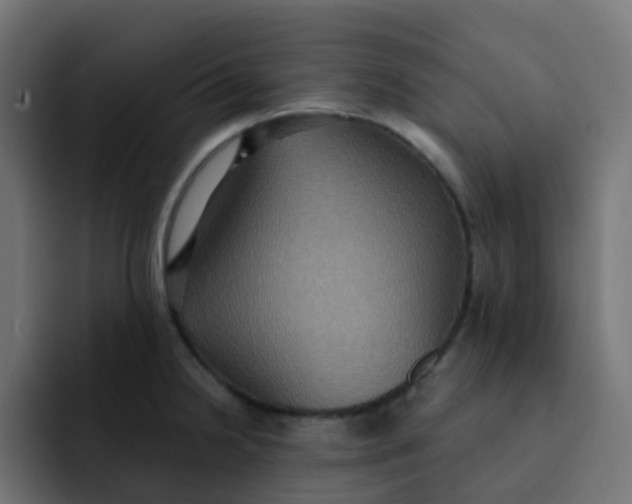 X0000092111238200710031225