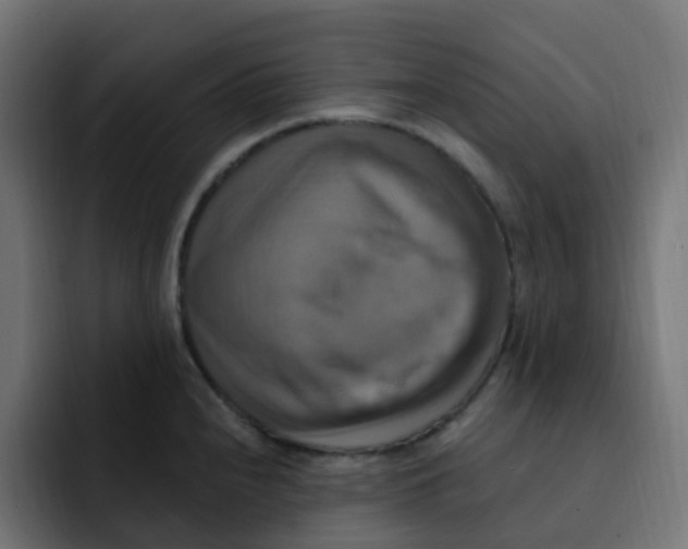 X0000092111240200710031225