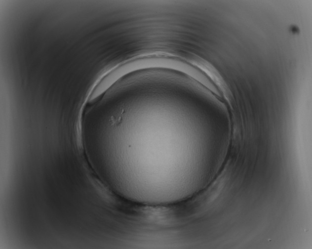 X0000092111242200710031225