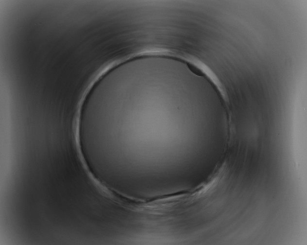 X0000092111245200710031225