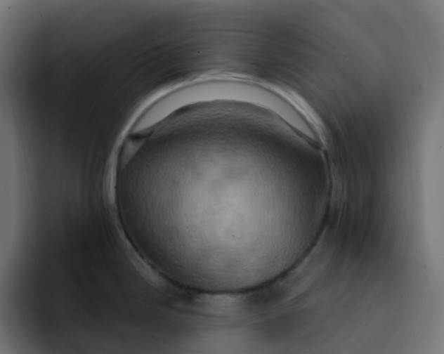 X0000092111246200710031225