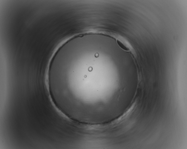 X0000092111247200710031225