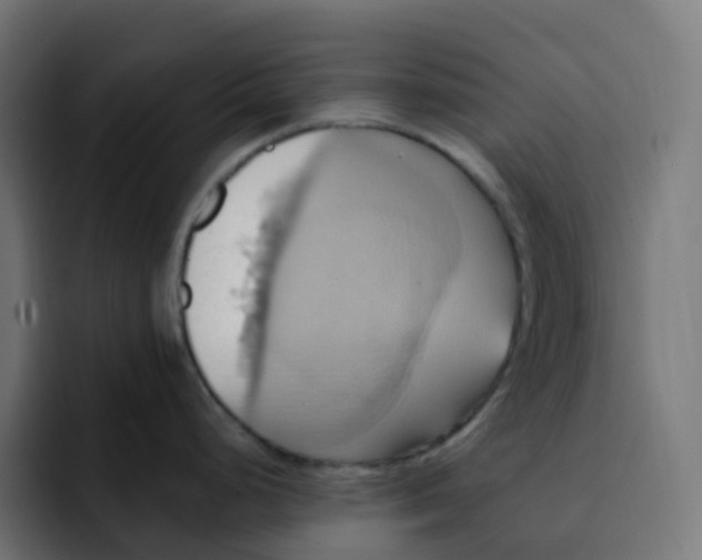 X0000092111248200710031225