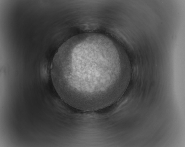 X0000092111250200710031224