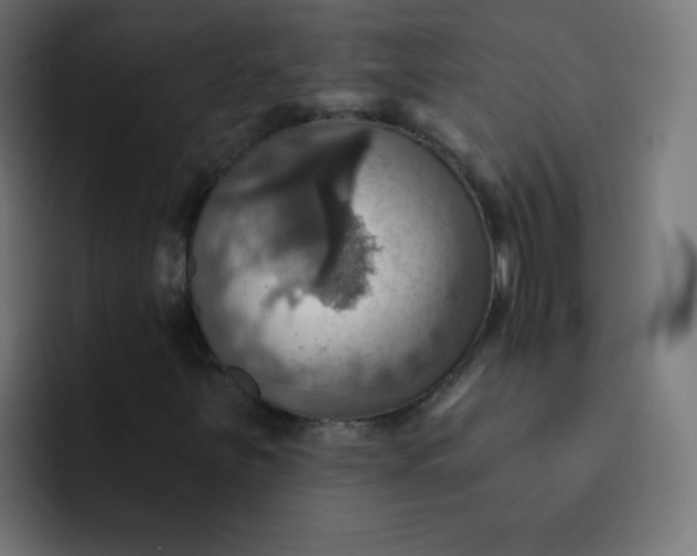 X0000092111251200710031224