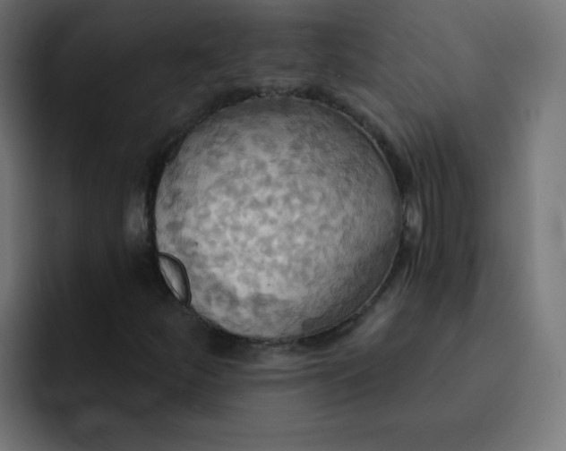 X0000092111252200710031224