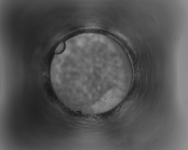 X0000092111255200710031224