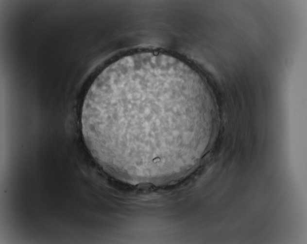 X0000092111256200710031224