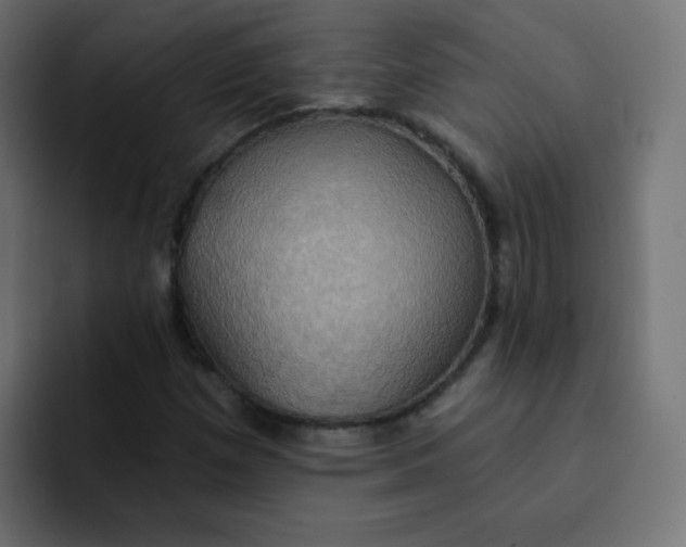 X0000092111257200710031224