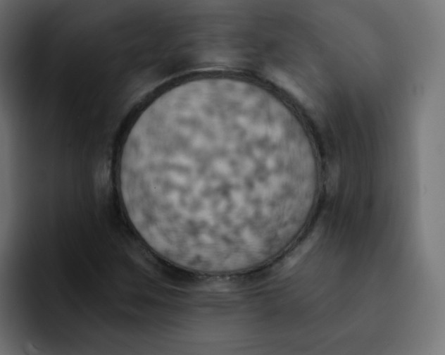 X0000092111259200710031224