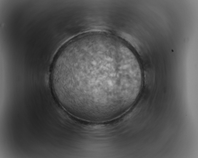 X0000092111260200710031224