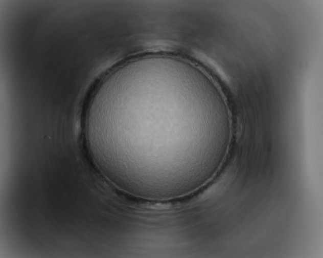 X0000092111261200710031224