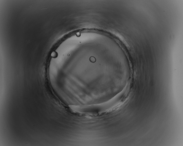 X0000092111263200710031224