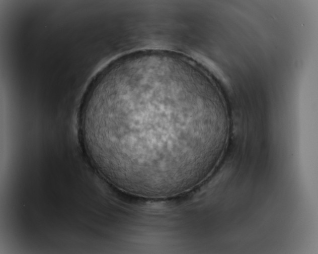 X0000092111264200710031224