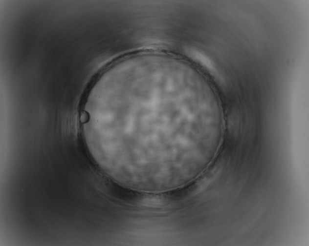 X0000092111267200710031224