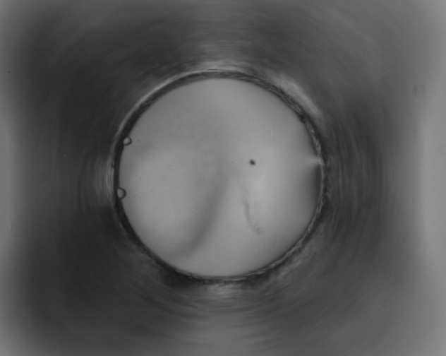 X0000092111268200710031224