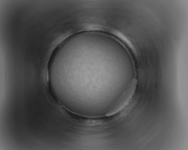 X0000092111269200710031224