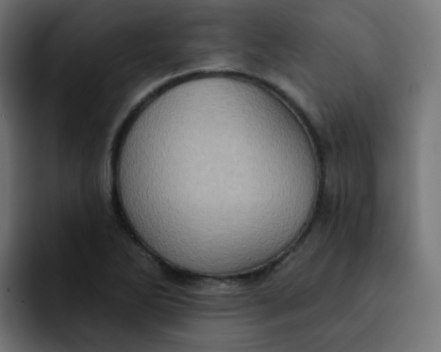 X0000092111270200710031224