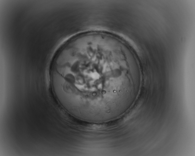 X0000092111271200710031224