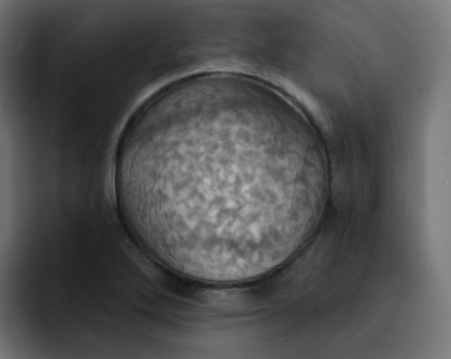 X0000092111272200710031224