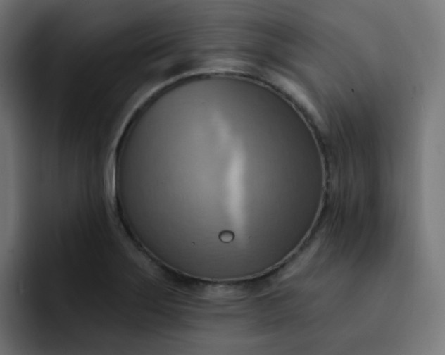 X0000092111275200710031224