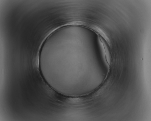 X0000092111276200710031224