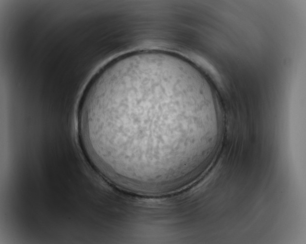 X0000092111280200710031224