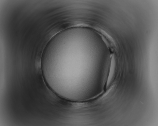 X0000092111281200710031224