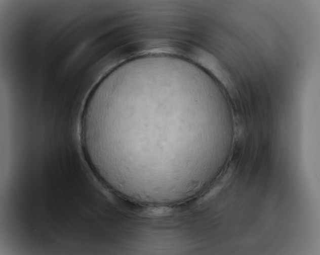 X0000092111282200710031224