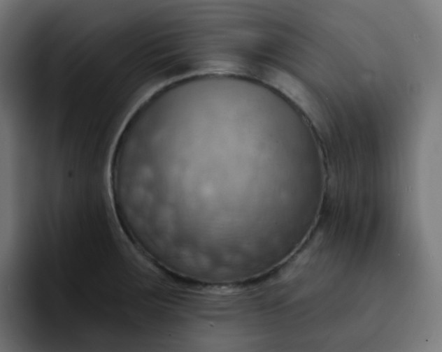 X0000092111283200710031224