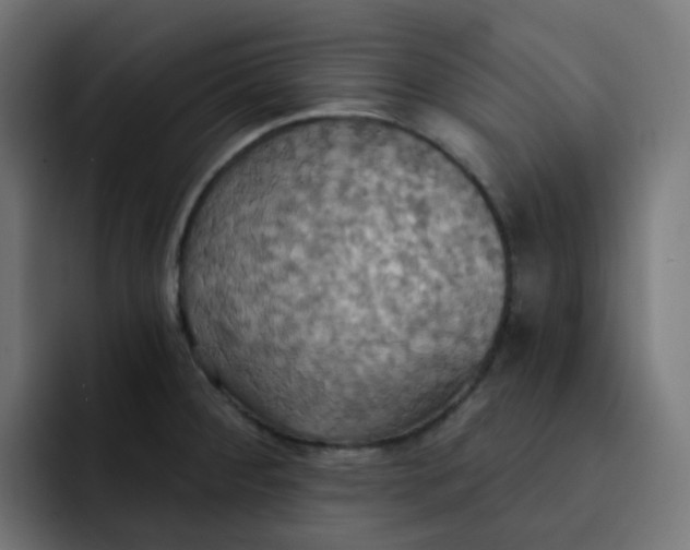 X0000092111284200710031224