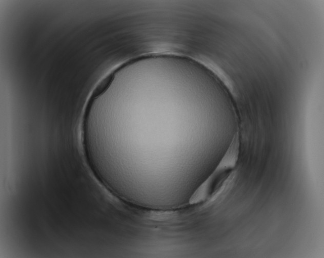 X0000092111285200710031224