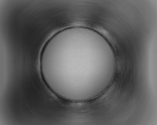 X0000092111286200710031224