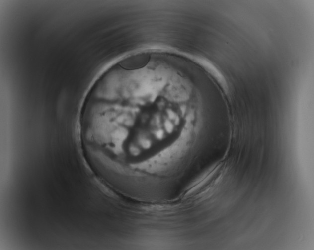 X0000092111287200710031224