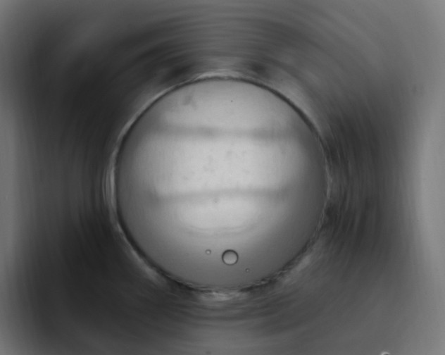 X0000092111290200710031224