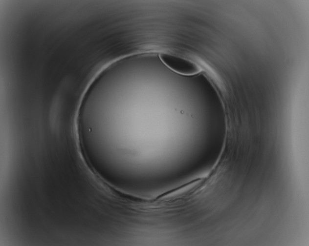 X0000092111291200710031224