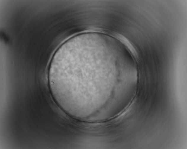 X0000092111292200710031224