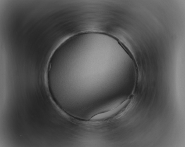 X0000092111293200710031224