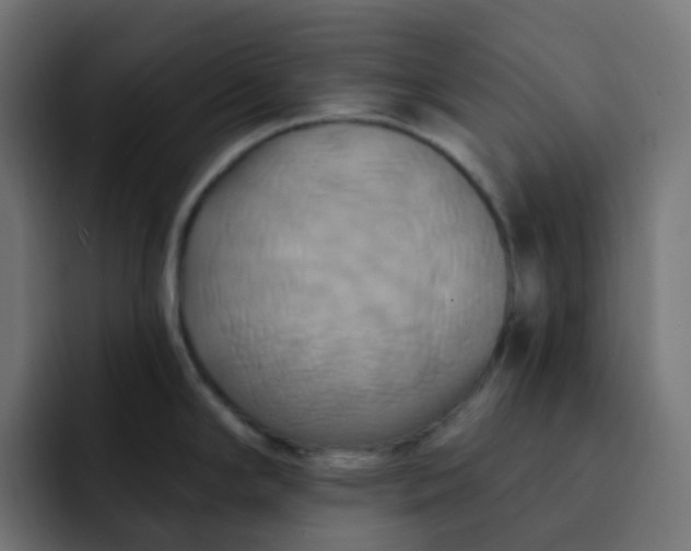 X0000092111294200710031224