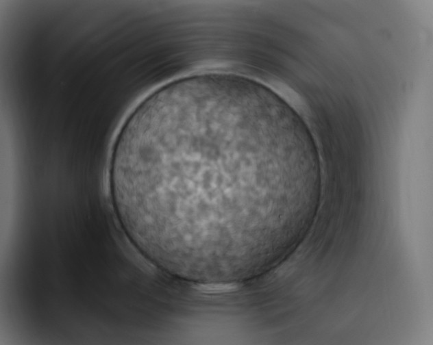 X0000092111296200710031224